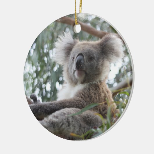 Koala Ornament (Links)
