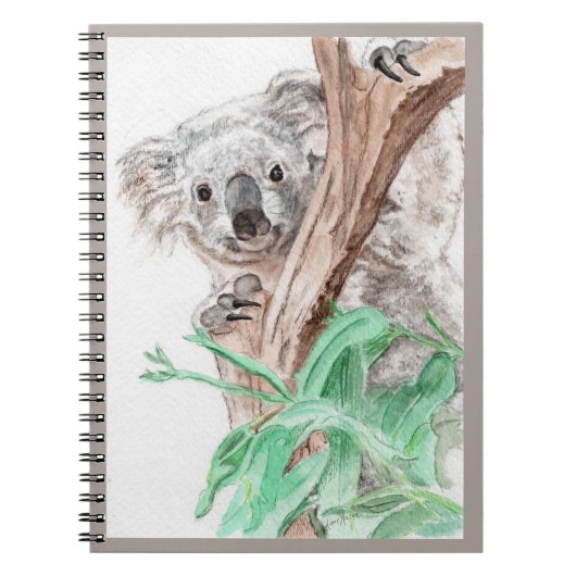 Koala, Peek-a-Boo Notitieboek (Voorkant)