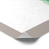 Koala, Peek-a-Boo Poster (Hoek)