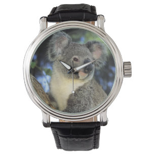 Koala, Phascolarctos cinereus), Australië Horloge