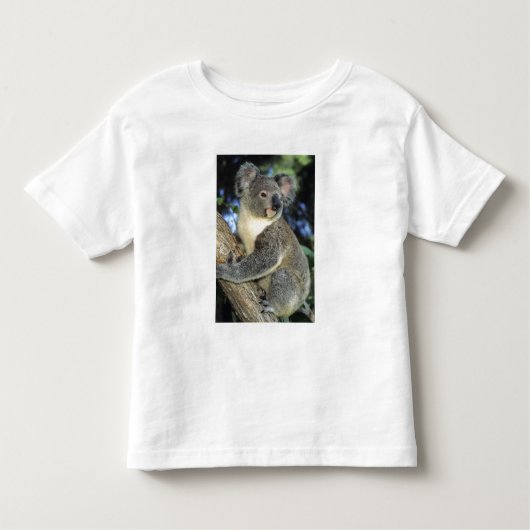Koala, Phascolarctos cinereus), Australië Kinder Shirts (Voorkant)