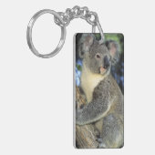 Koala, Phascolarctos cinereus), Australië, Sleutelhanger (Voorkant Links)