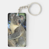 Koala, Phascolarctos cinereus), Australië, Sleutelhanger (achterkant)
