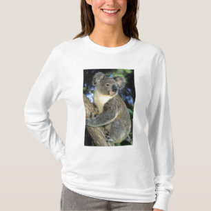 Koala, Phascolarctos cinereus), Australië T-shirt