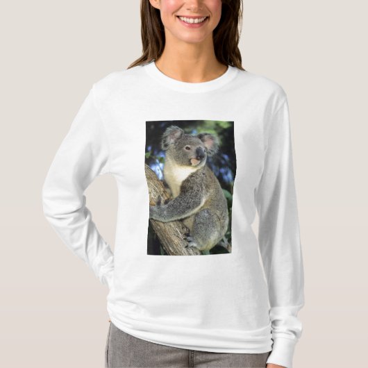 Koala, Phascolarctos cinereus), Australië T-shirt (Voorkant)