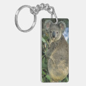 Koala, Phascolarctos cinereus), bedreigd, Sleutelhanger (Voorkant Links)