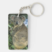 Koala, Phascolarctos cinereus), bedreigd, Sleutelhanger (achterkant)