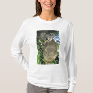Koala, Phascolarctos cinereus), bedreigd, T-shirt