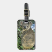 Koala, Phascolarctos cinereus), endangered; Bagagelabel (Voorkant verticaal)