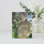 Koala, Phascolarctos cinereus), endangered; Briefkaart (Staand voorkant)