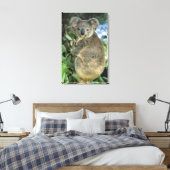 Koala, Phascolarctos cinereus), endangered; Canvas Afdruk (Insitu (Slaapkamer))