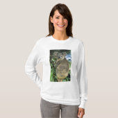 Koala, Phascolarctos cinereus), endangered; T-shirt (Voorkant volledig)