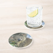 Koala, Phascolarctos cinereus), endangered; Zandsteen Onderzetter (Zijkant)