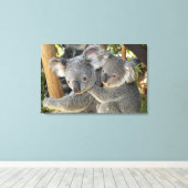 Koala Phascolarctos cinereus Queensland Canvas Afdruk (Insitu (Houten vloer))