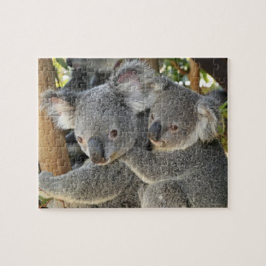 Koala Phascolarctos cinereus Queensland Legpuzzel (Horizontaal)