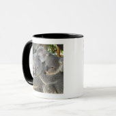 Koala Phascolarctos cinereus Queensland Mok (Voorkant links)