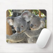 Koala Phascolarctos cinereus Queensland Muismat (Met muis)