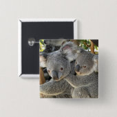 Koala Phascolarctos cinereus Queensland Vierkante Button 5,1 Cm (Voorkant /achterkant)