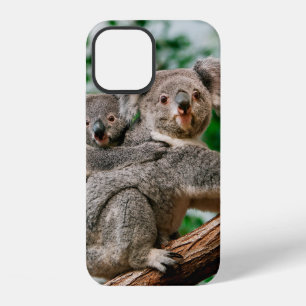 Koala, phascolarctos cinereus, Vrouwtje met jong iPhone 12 Hoesje