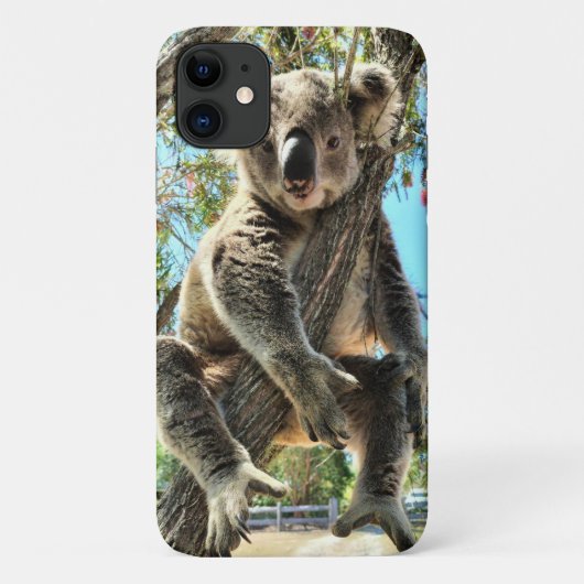 Koala Phone Case (Achterkant)