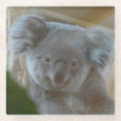 Koala Portrait Coaster Glazen Onderzetter (Voorkant)