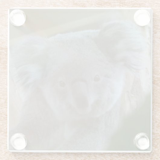 Koala Portrait Coaster Glazen Onderzetter (Achterkant)