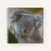 Koala Portrait Notitieboek (Voorkant)