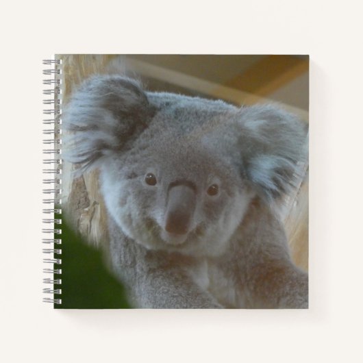 Koala Portrait Notitieboek (Voorkant)