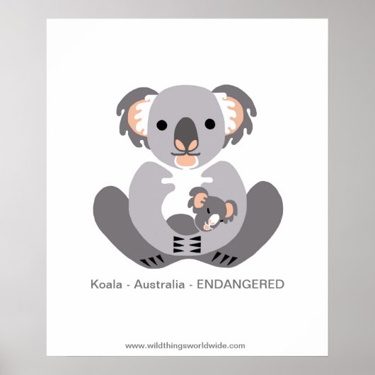 Koala - poster (Voorkant)