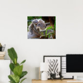 Koala Poster (Thuiskantoor)