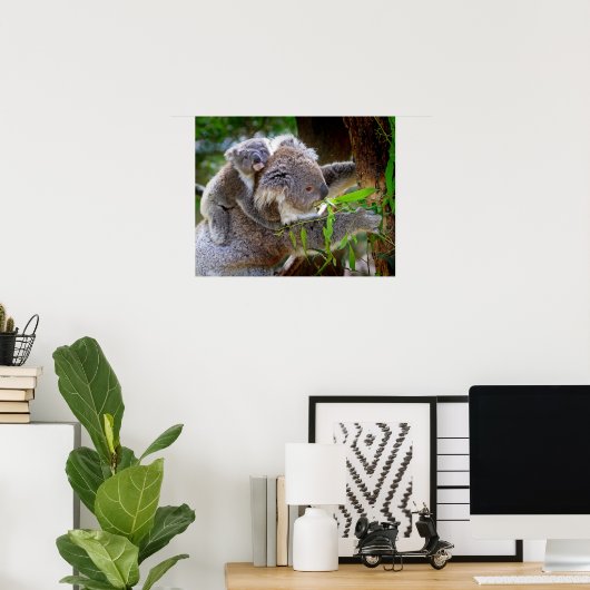 Koala Poster (Thuiskantoor)
