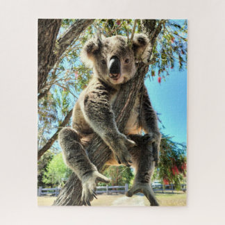 Koala Puzzle Legpuzzel