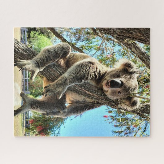 Koala Puzzle Legpuzzel (Horizontaal)