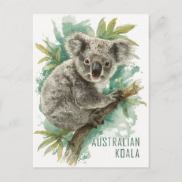  Koala Reizen Briefkaart