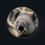 Koala Ronde Button 5,7 Cm<br><div class="desc">Koala in een boom</div>