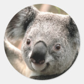 Koala Ronde Sticker (Voorkant)