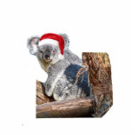 Koala Santa Fotobeeldje Ornament<br><div class="desc">Deze acrylkerstversiering van een koala-beer in een Santa-hoed komt met een rood lintje om te hangen. De definitieve grootte is benaderend en hangt van besnoeiingsgrootte van afbeelding af.</div>