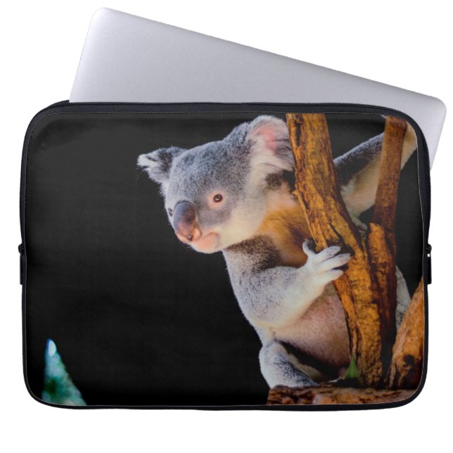 Koala Schattig in Boom Grijs Laptop Sleeve (Voorkant)