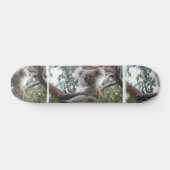 Koala Skateboard (Horizontaal)