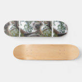 Koala Skateboard (Horizontaal)