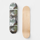 Koala Skateboard (Voorkant)