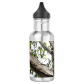 Koala - Slaap Cadeautags Waterfles (Links)