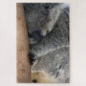 koala slaap legpuzzel (Verticaal)