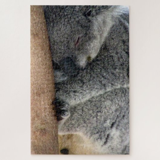 koala slaap legpuzzel (Verticaal)
