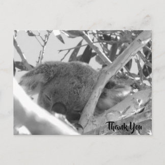 Koala slaapt, zwart-wit foto, Australië Briefkaart