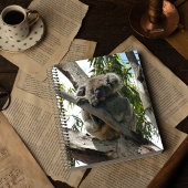 Koala - Slapend Notitieboek