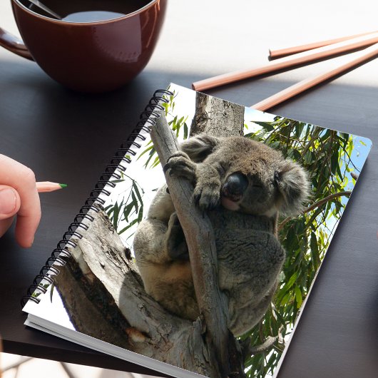 Koala - Slapend Notitieboek