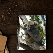 Koala - Slapend Notitieboek