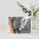 koala slaperig briefkaart (Staand voorkant)