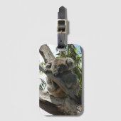 Koala - Sleeping Bagagelabel (Voorkant (verticaal))